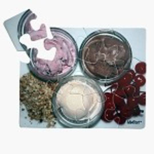 12 Piece Ice Cream Puzzle
